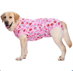 VibeVendor Female Dog Physiological Pants Protective Trousers Diaper Clothes Pet Safety Anti-harassment Adjustable Washable With 3 Sanitary Pad Breathable