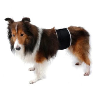 VibeVendor Female Dog Physiological Pants Protective Trousers Diaper Clothes Pet Safety Anti-harassment Adjustable Washable With 3 Sanitary Pad Breathable